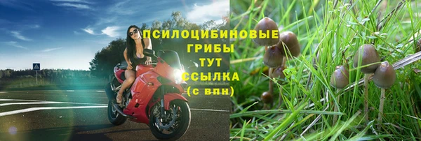 гашишное масло Карпинск