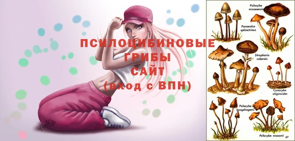 гашишное масло Карпинск